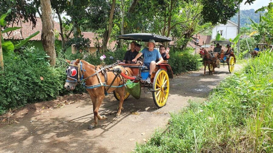 Borobudur Tour to the Top, Andong or Cycling Village Tours