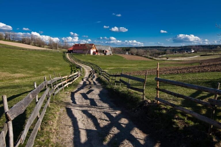 Corund, HR: Backcountry Gastro Tour with Lunch and Dinner