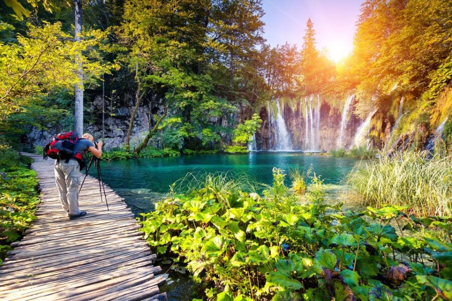 From Split: Magical Plitvice Lakes and Hidden Deer Ranch - The Deer Ranch: A Heartwarming Encounter