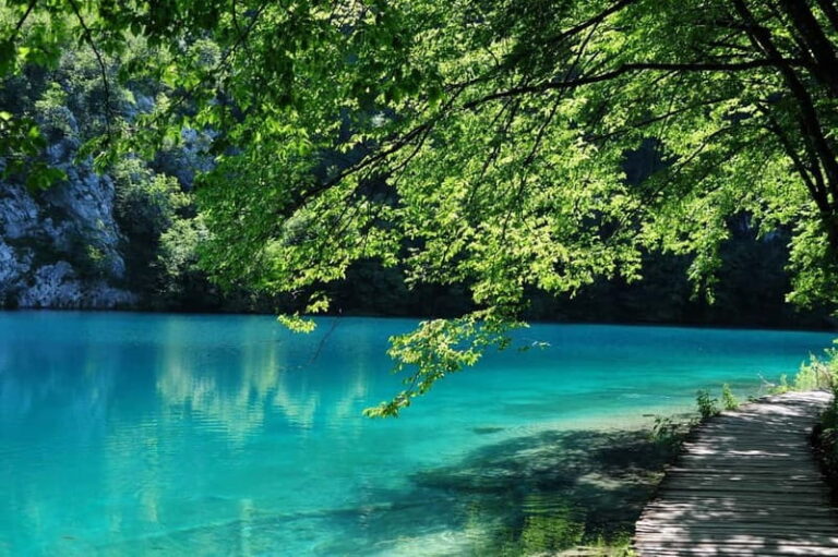From Zagreb or Split: Plitvice Lakes Private Tour