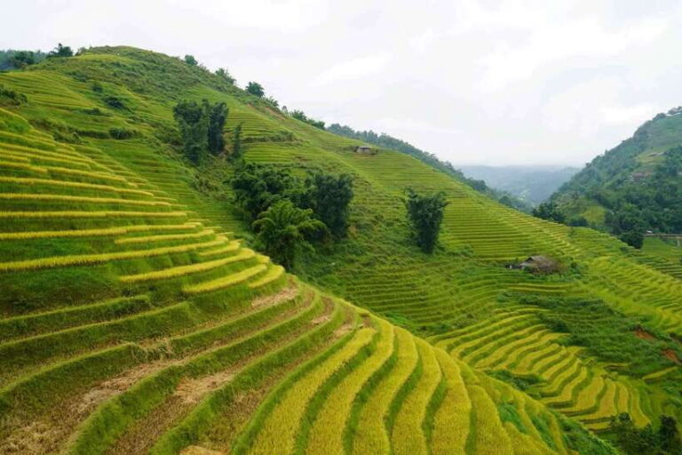 Half Day Sapa Trekking to Visit Lao Chai – Ta Van
