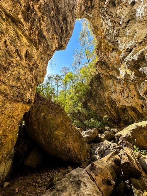 Juárez Highlands: Ecotourism and Workshop Experience