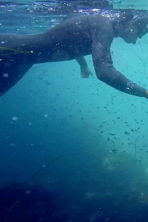 2 Best Snorkeling Experiences In La Jolla