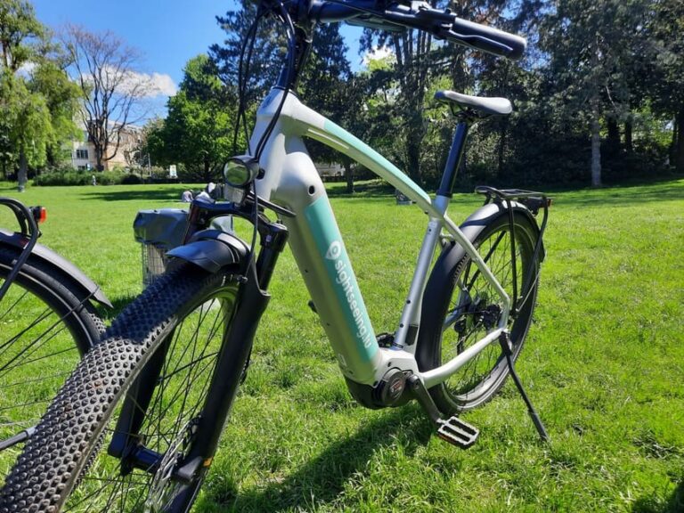 Luxembourg: City E-Bike Rental