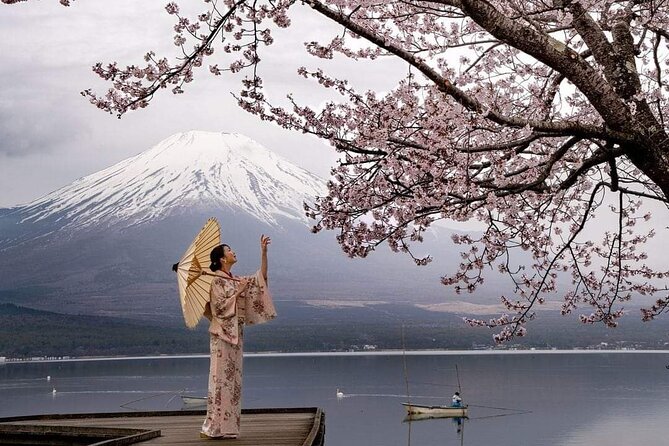 Private Day Tour to Nikko City With English Speaking Driver