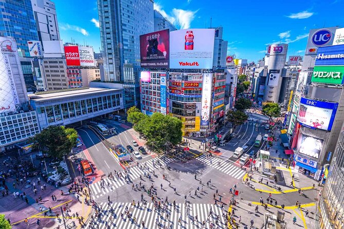 Tokyo City Private English Speaking Driver