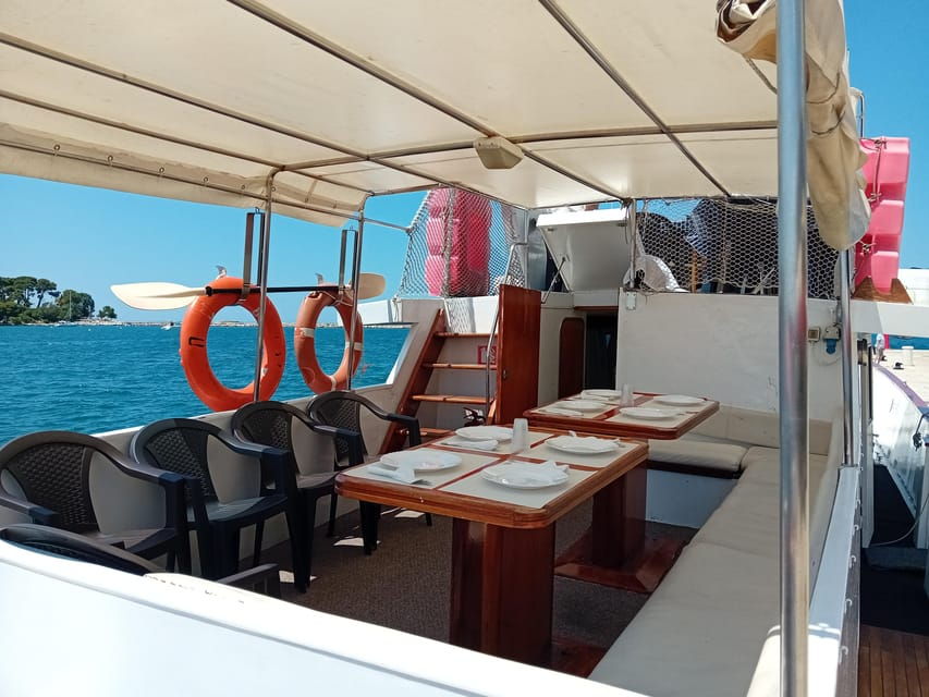 Umag: Swimming&Panorama / Welcome Drink and Dolphin Spotting