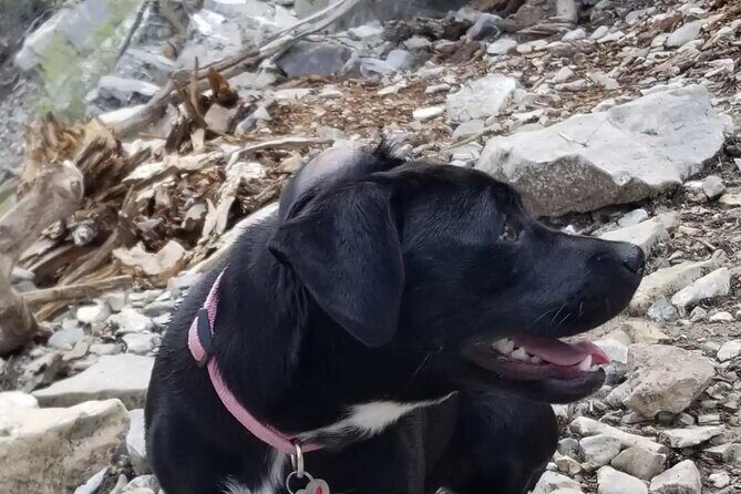 2-Hours Hiking Night Tour to Strip Views in Las Vegas - The Itinerary: A Closer Look