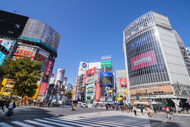 Tokyo 7hr Tour Licensed Guide & Vehicle: NRT Airport Drop Off - Inclusions and Exclusions