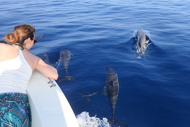 Trinco Tour B - Whales, Dolphins & Snorkeling Tour