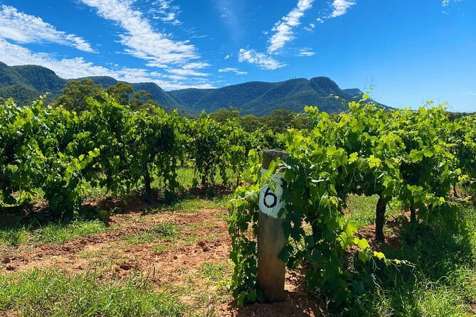 Bondi Beach and Beyond private tour - Final Thoughts: Who Will Love This Tour?