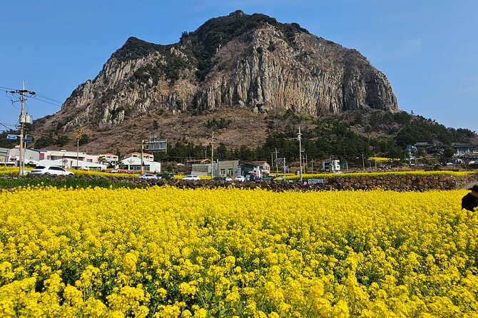 Full-Day Private Tour in Jeju Island - Who This Tour Is Perfect For