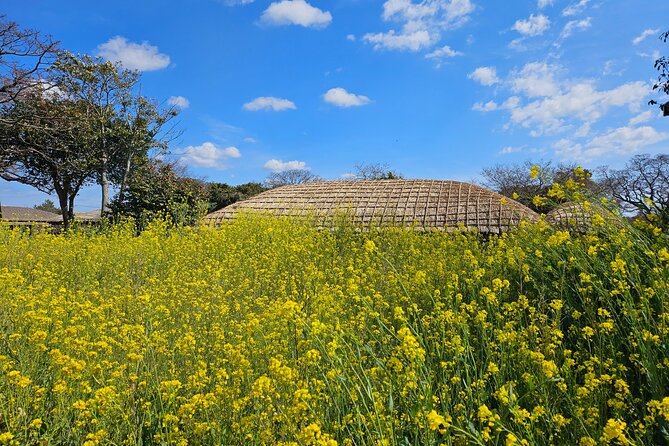 Private 2Days Tour a lot of Experience Driver in jeju island - Final Thoughts: Who Is This Tour Best For?