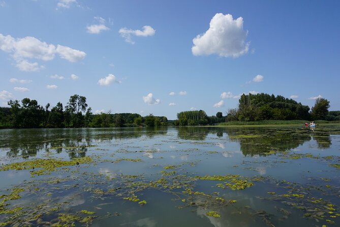 Best Bike Rentals In Vienna