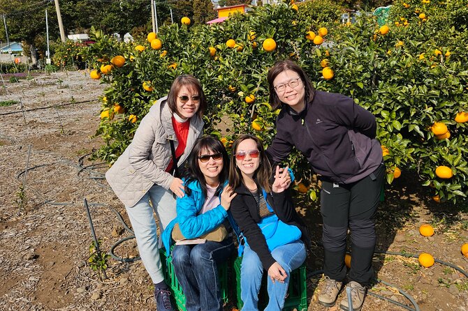 Full-Day Private Tour in Jeju Island - Final Thoughts