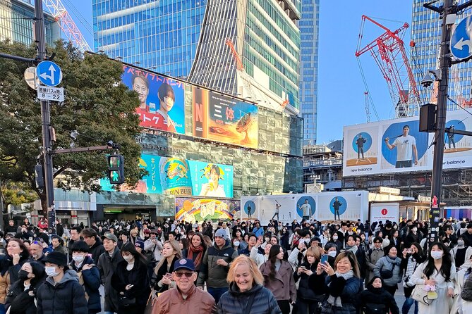 Tokyo 7hr Tour Licensed Guide & Vehicle: NRT Airport Drop Off - Booking Details