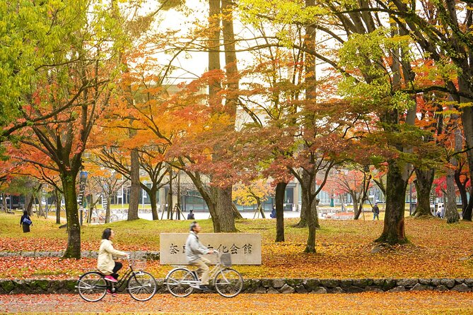 Kansai Region Hiking Adventure in Nara Kobe Kyoto and More - Preparing for the Adventure