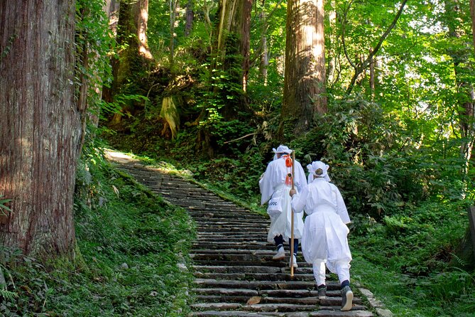 Kyoto Highlights Eastern Western Northern and Southern Routes - Exploring the Eastern Route