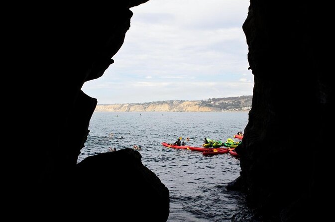 5 Best Guided Tours In La Jolla