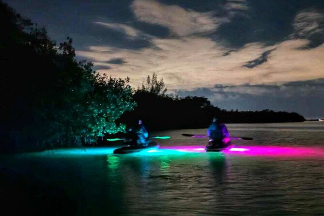 Bioluminescent Comb Jelly & LED Kayak / Paddle board Excursion - The Experience: Pros and Cons