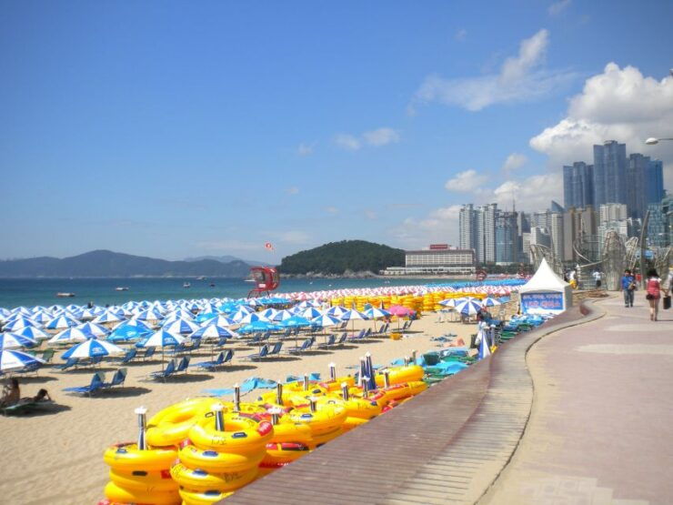 Busan Private Tour With a Local - Customized Itinerary