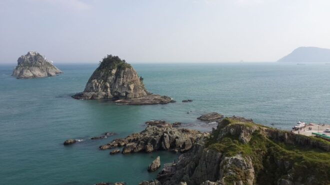 Busan Private Tour With a Local - Insider Tips and Recommendations