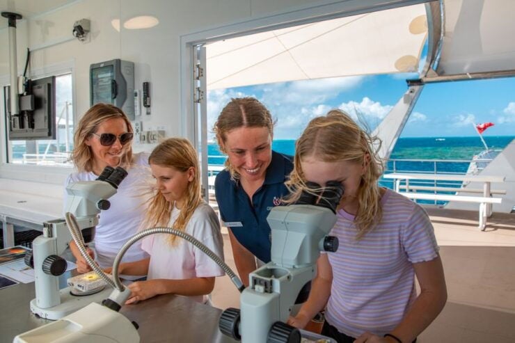 Cairns: Great Barrier Reef Cruise With Water Activities - Experience