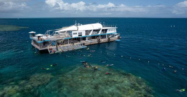 Cairns: Great Barrier Reef Cruise With Water Activities - Free Cancellation and Flexible Payment