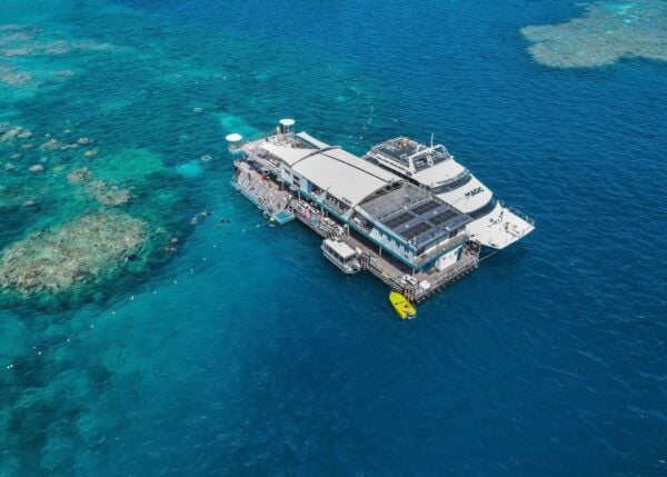Cairns: Great Barrier Reef Cruise With Water Activities - Smooth Sail to the Outer Reef