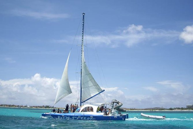 3 Best Dolphin Watching Tours In Aruba