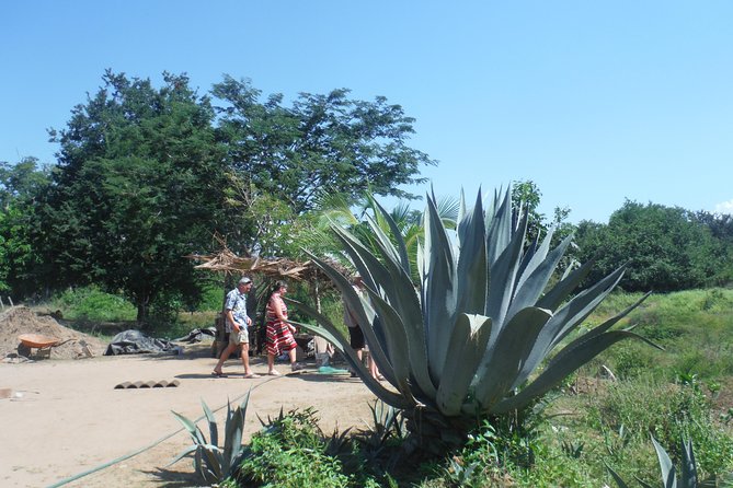3 Best City Tours In Zihuatanejo