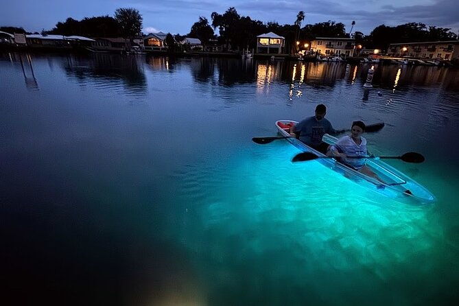 Clear Kayak Manatee Viewing Sunset and Glow Tour of Crystal River - Who Will Love This Tour?