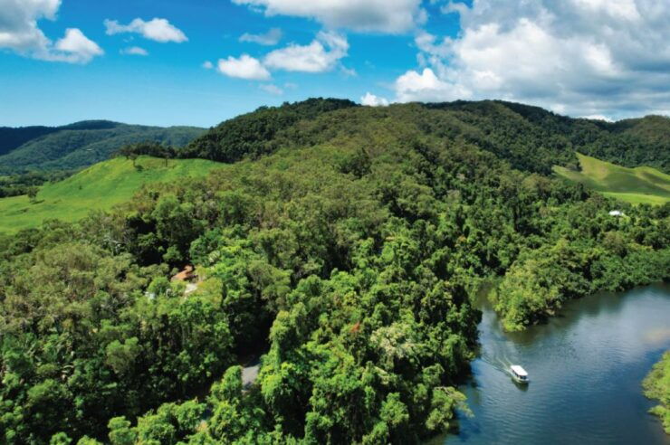Daintree Rainforest: Crocodile & Wildlife River Cruises - Activity Details