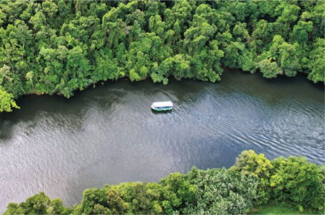 Daintree Rainforest: Crocodile & Wildlife River Cruises - Booking Details