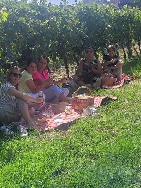 E-Vespa Tour in the Chianti and Pic Nic Lunch - What’s Included and What’s Not