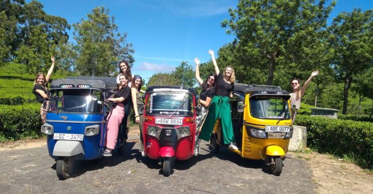Ella: Tuk-Tuk Safari Day Trip and Tea Fields Hike With Lunch - Experience