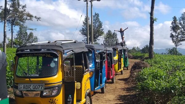 Ella: Tuk-Tuk Safari Day Trip and Tea Fields Hike With Lunch - Itinerary