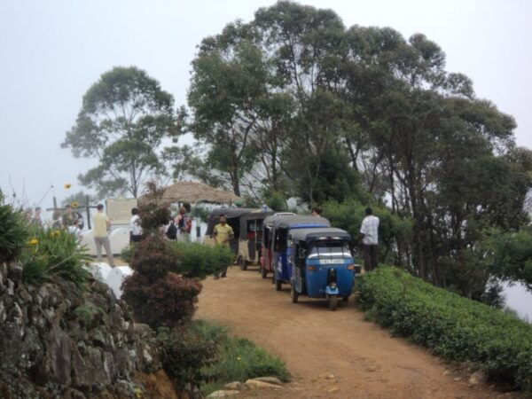 Ella: Tuk-Tuk Safari Day Trip and Tea Fields Hike With Lunch - Tips and Recommendations
