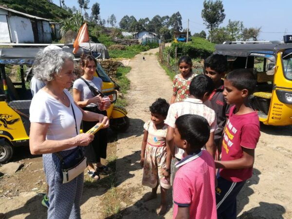 Ella: Tuk-Tuk Safari Day Trip and Tea Fields Hike With Lunch - The Sum Up