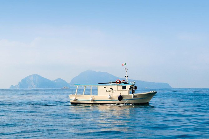 13 Best Fishing Tours In Sorrento