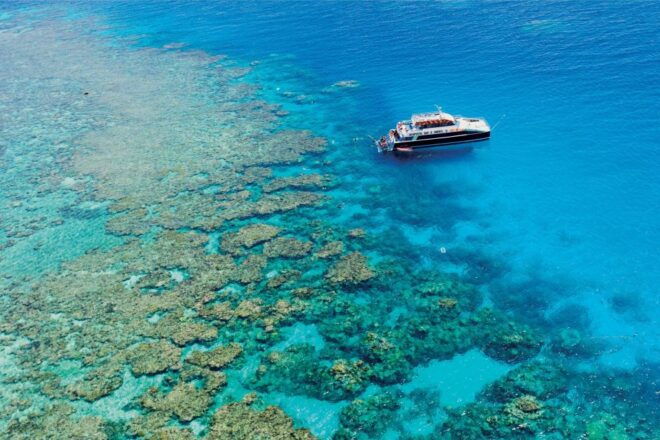 From Cairns: Great Barrier Reef Snorkeling Experience - Additional Information