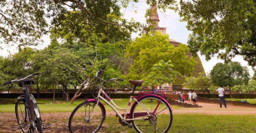 4 Best Bike Tours In Polonnaruwa District
