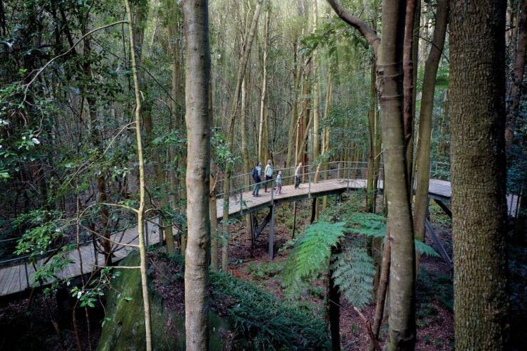 From Sydney: Blue Mountains, Three Sisters & Leura Day Tour - Activity Details