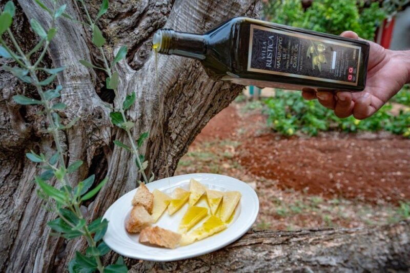 From Zadar: E-scooter self guided day trip on Ugljan island - Exploring the Itinerary in Detail