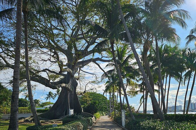 Ft. Lauderdale Brightline Train to Palm Beach & 3hr Ebike Rental - First Impressions: The E-Bike Rental Experience