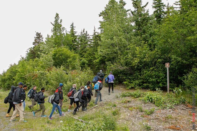 Full-Day Mount Riley Hike from Haines - Authentic Experiences and Reviews