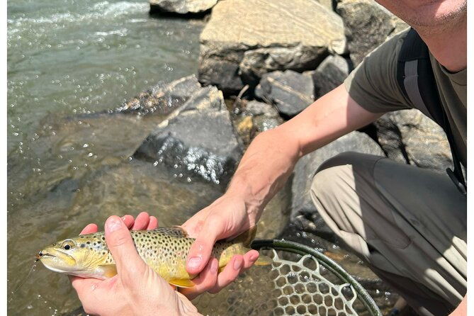 Half Day Fly Fishing Lesson on Clear Creek near Denver - The Value and Practicalities