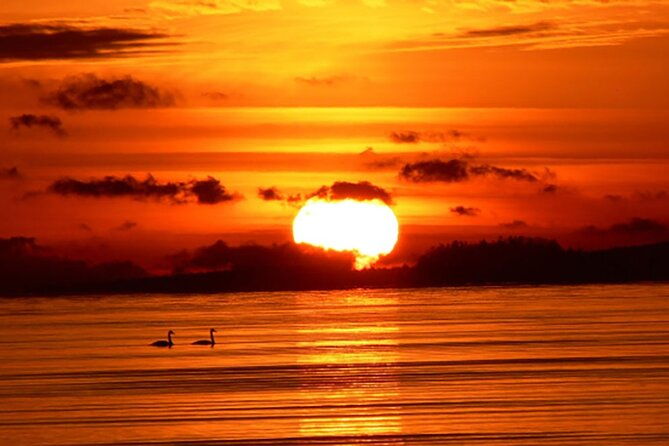 Hilton Head Sunrise Dolphin Tour - Why This Tour Offers Good Value