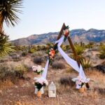 Las Vegas Scenic Wedding Ceremonies - What to Expect from Las Vegas Scenic Wedding Ceremonies