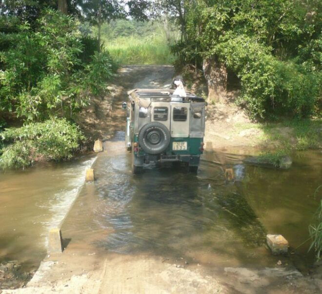 Multi-Day Tour: Udawalawe National Park Elephant Safari - Important Information and Cancellation Policy